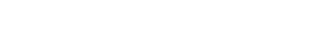 New Zealand Government logo