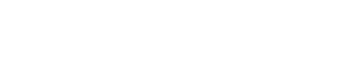 Standards New Zealand logo